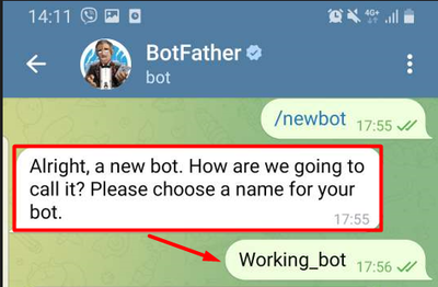 Bot name.png